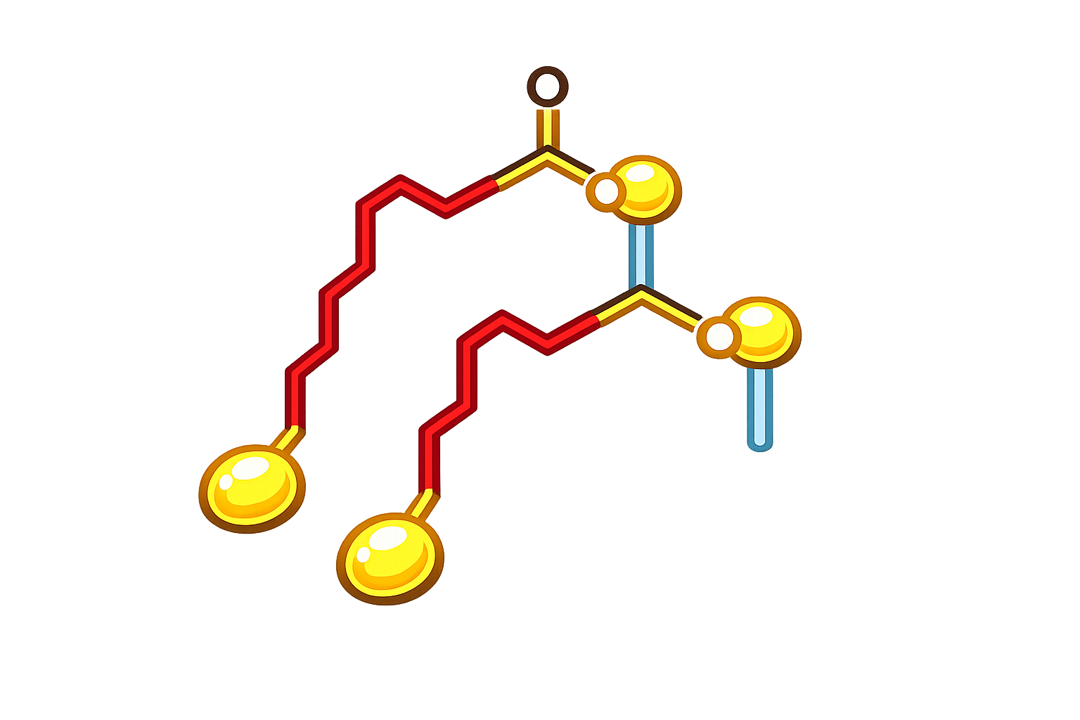 トリグリセリド