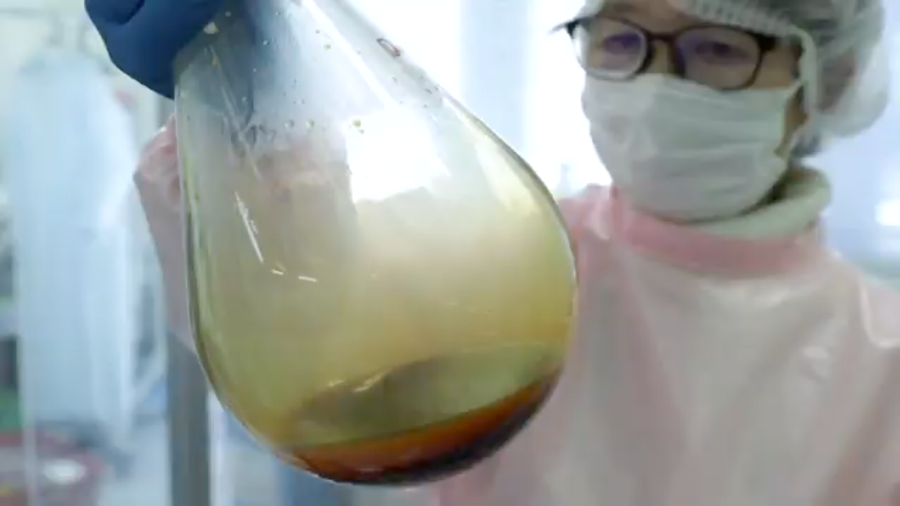 実験の様子