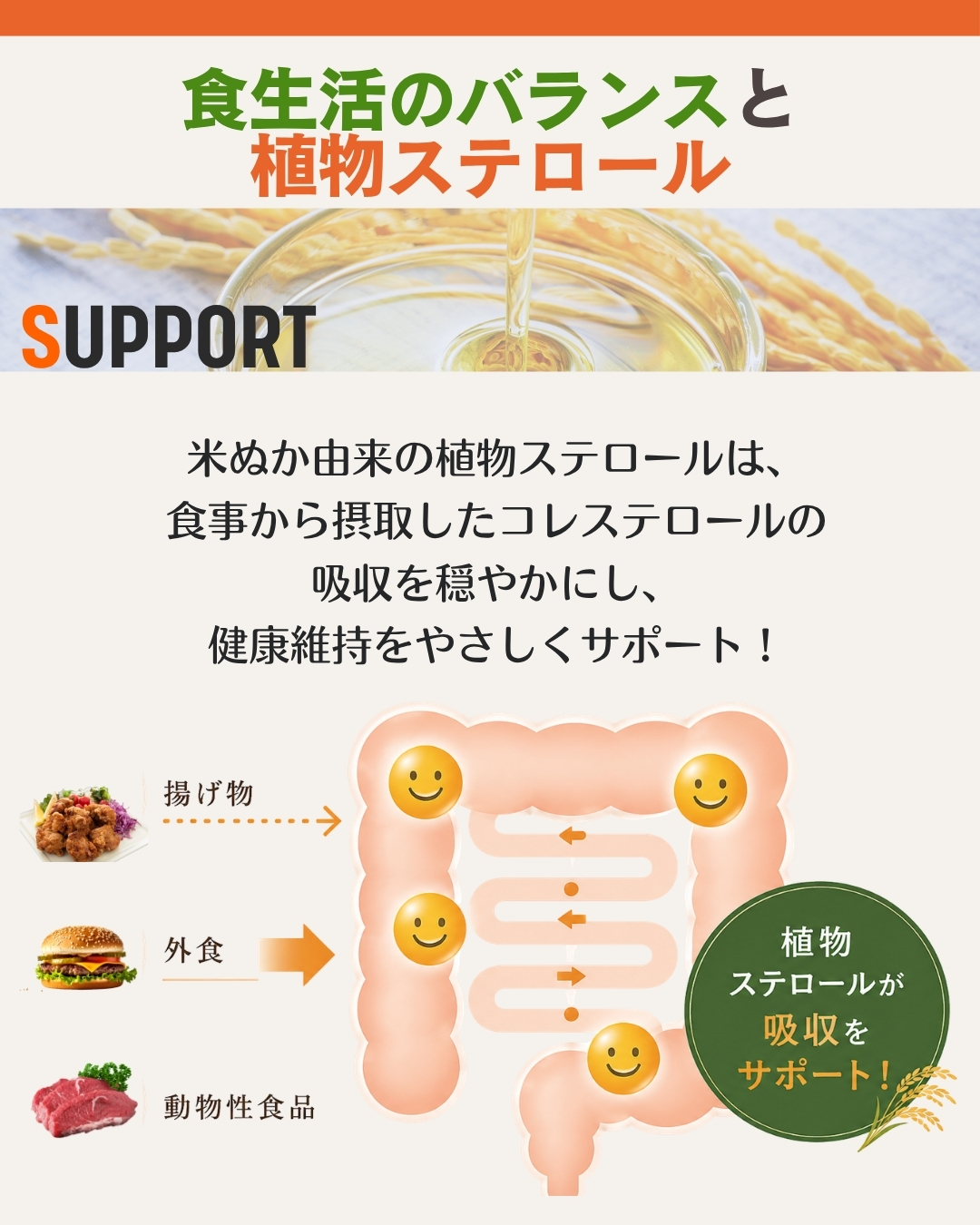 おコメのまもり LP画像3